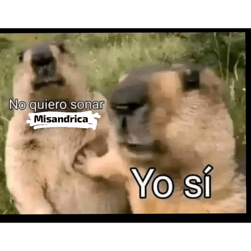 FUNNY PARA TIKTOK 5