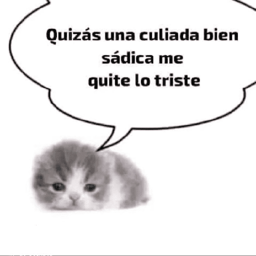 Nuevo momos 25