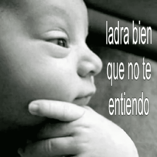 Nuevo momos 23