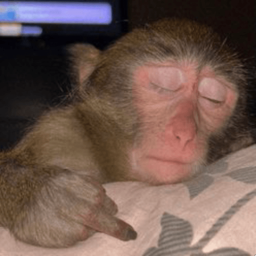 Monky lovers de <3 11