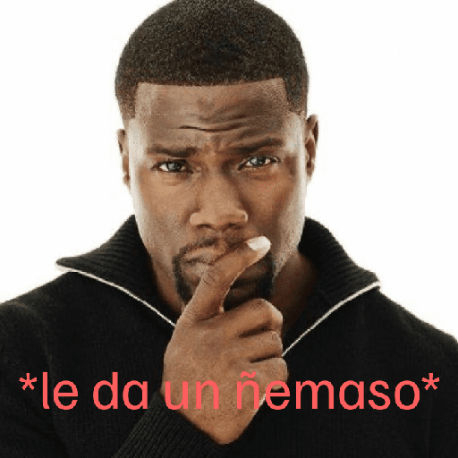 Nuevo momos 24