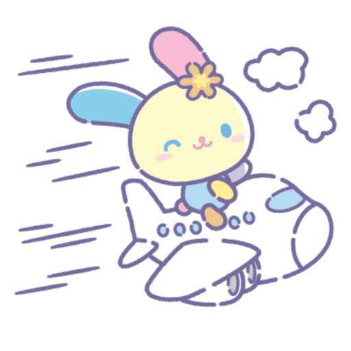 Sanrio.  ♡  @bunifloral 10