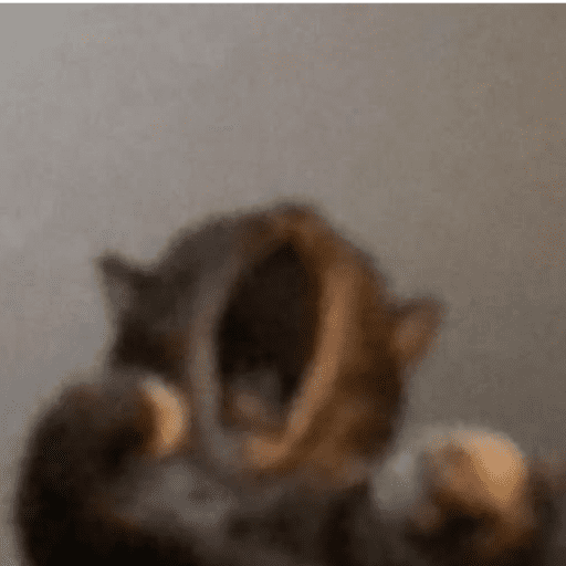 Bb de mim 29