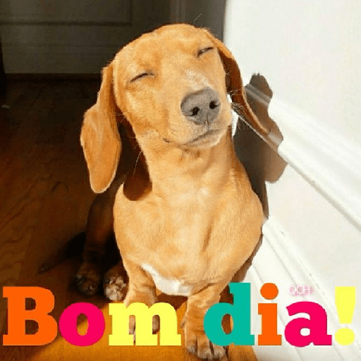 Bom dia 3