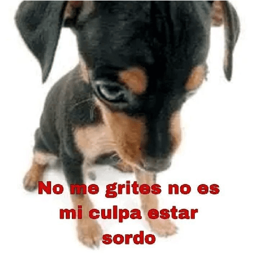 ❀ᮬ🐾⣧ ᩡᩡ Texto rojo !©️Pochis  16