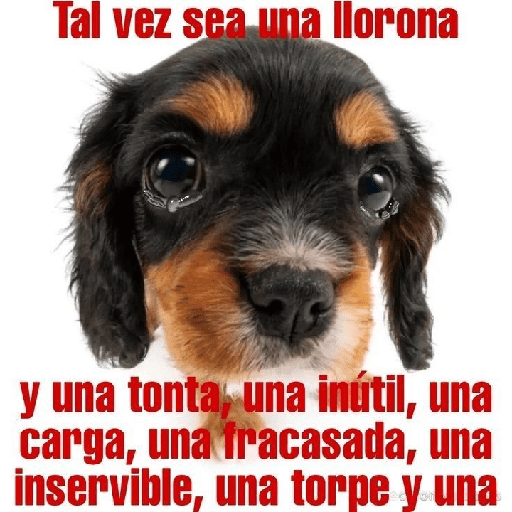❀ᮬ🐾⣧ ᩡᩡ Texto rojo !©️Pochis  17
