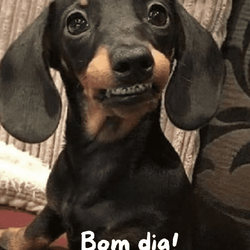Bom dia 5