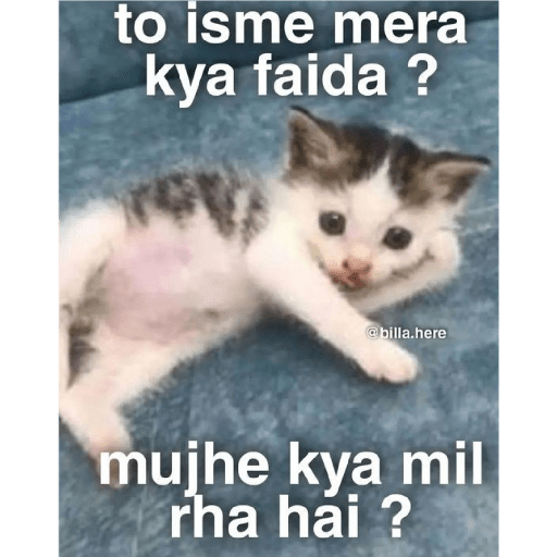 New memes 11