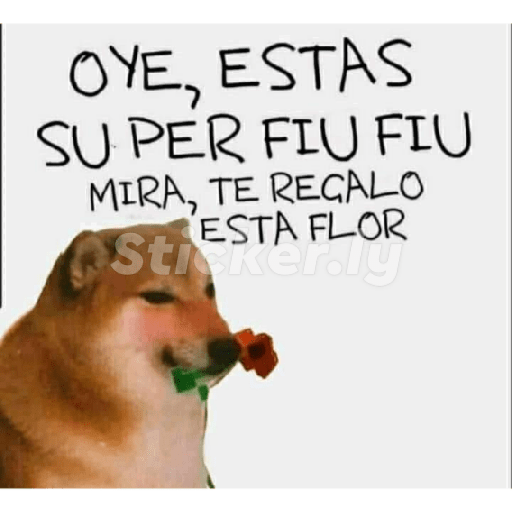 Para ligar bonito 12