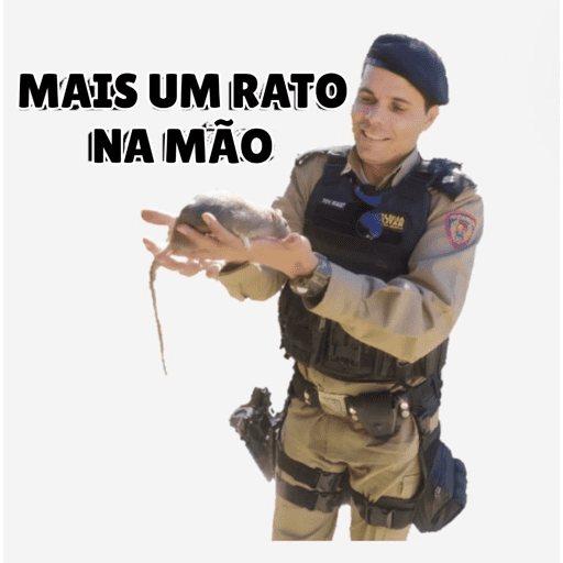 Opa 13