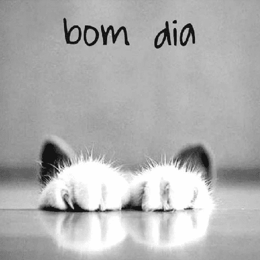 Bom dia 9