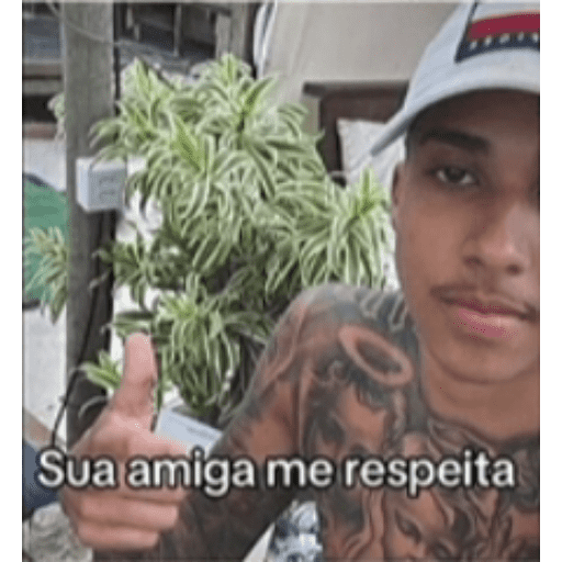 Figurinha  14
