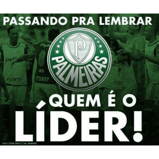 Palmeiras  11