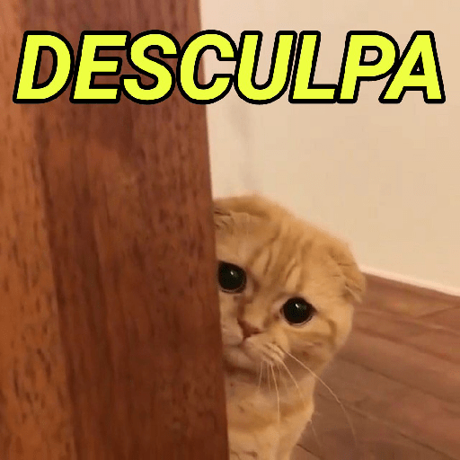 REAÇÕES, MEMES E DEBOCHE 6