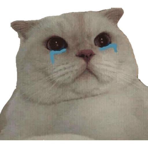 Miauu 6