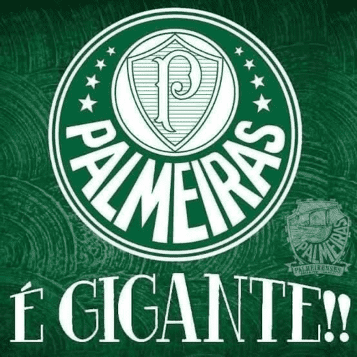 Palmeiras  6