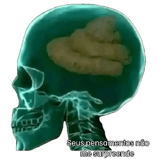 Arena mirante novos 7