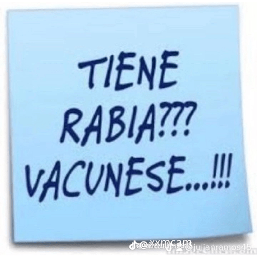 Indirectas 11