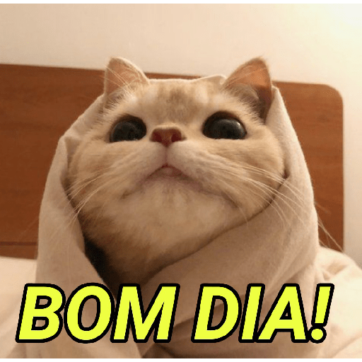 REAÇÕES, MEMES E DEBOCHE 15