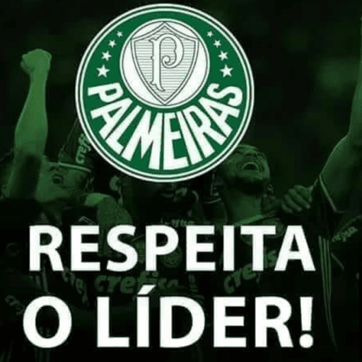 Palmeiras  12