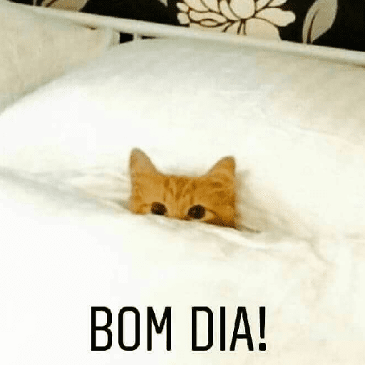Bom dia 2