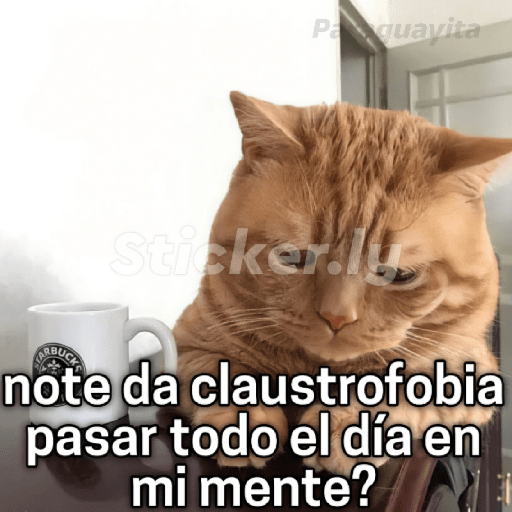 Para ligar bonito 2