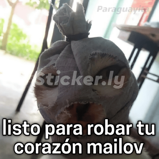 Para ligar bonito 1