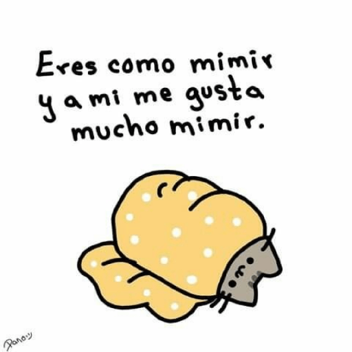 Amor 4