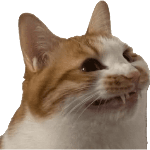 Miauu 18