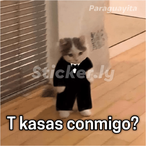 Para ligar bonito 4