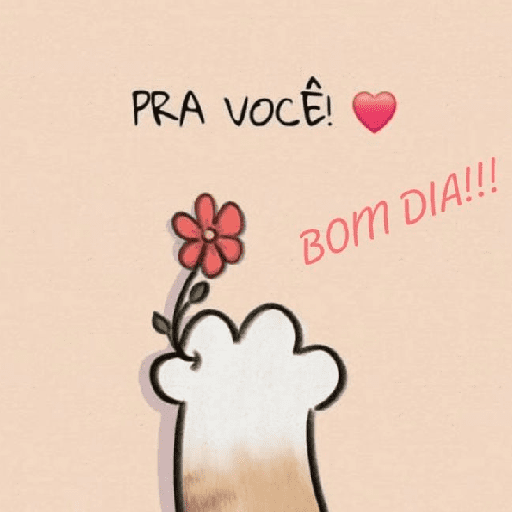Bom dia 7