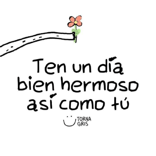 Amor 19