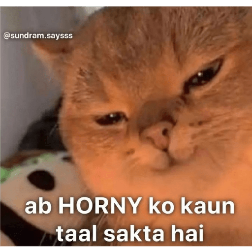 New memes 7
