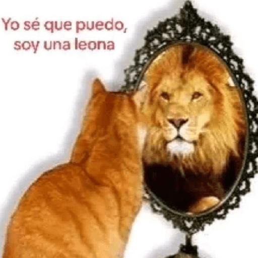 ❀ᮬ🐾⣧ ᩡᩡ Texto rojo !©️Pochis  4