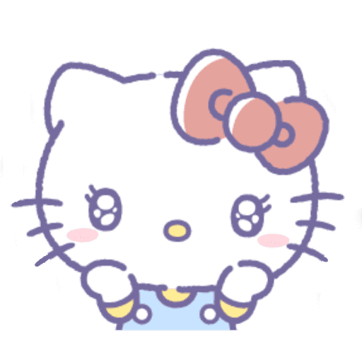 Sanrio.  ♡  @bunifloral 1