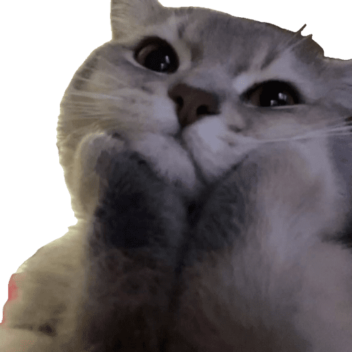 Miauu 4