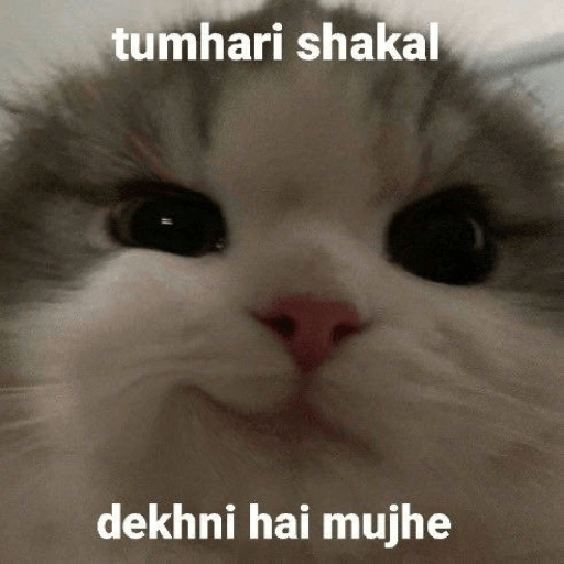 New memes 3