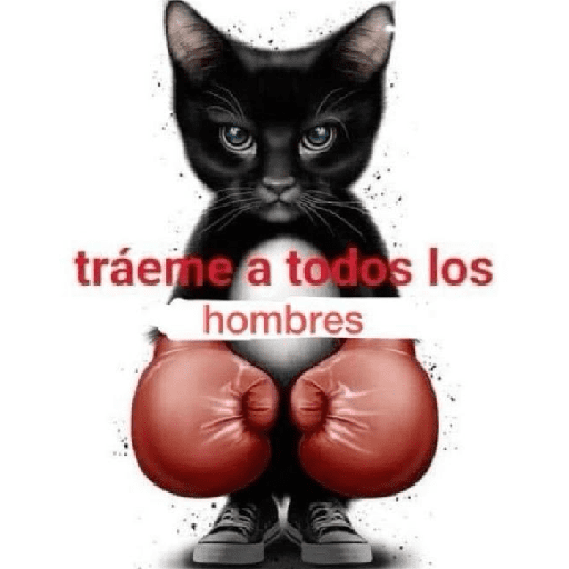 ❀ᮬ🐾⣧ ᩡᩡ Texto rojo !©️Pochis  8