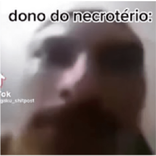 Memes aleatórios 7