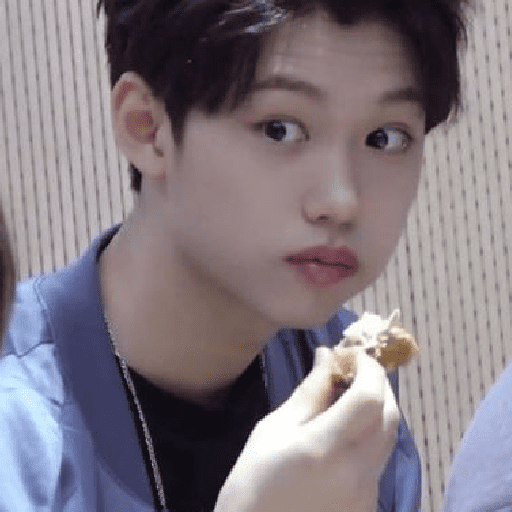 Felix 15