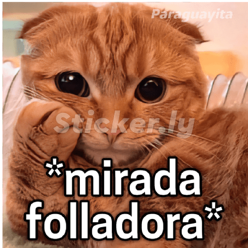 Para ligar bonito 3