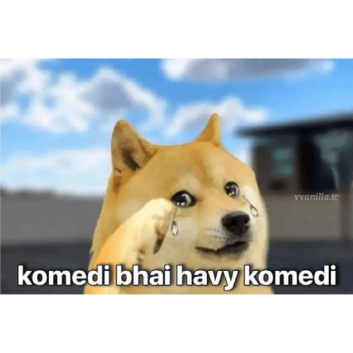 New memes 5