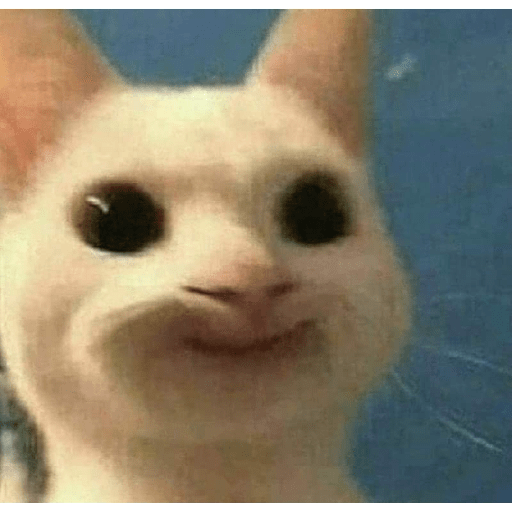 Funny cat faces 2 2