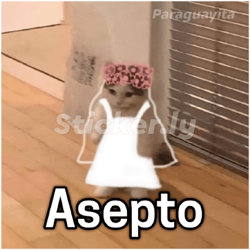 Para ligar bonito 5