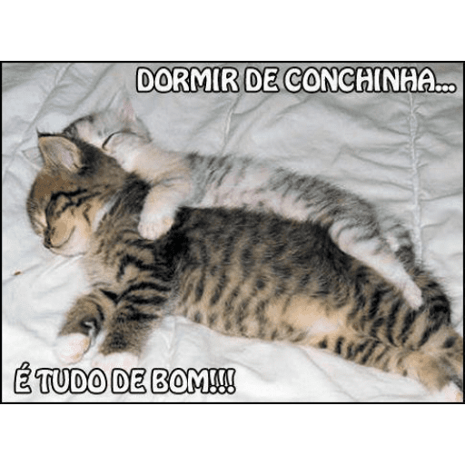Figurinha  15