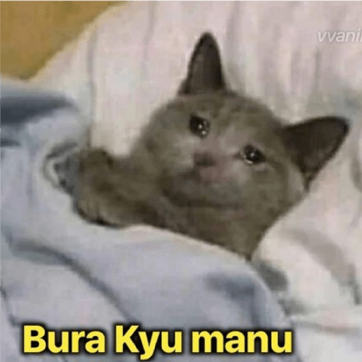 New memes 1