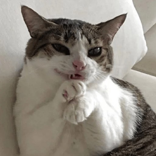 Gatos 22