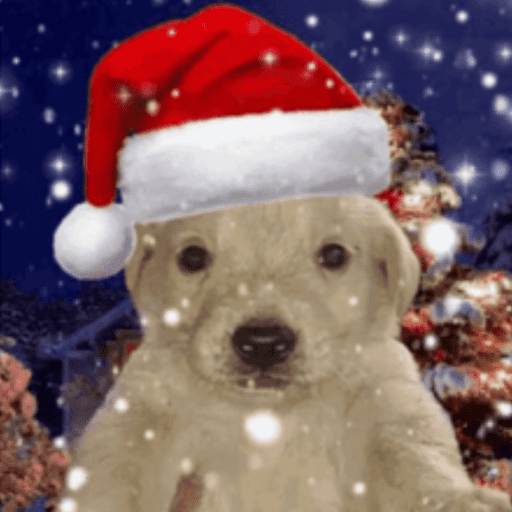 STICKERS PERRITOS NAVIDEÑOS🐶🎄 9