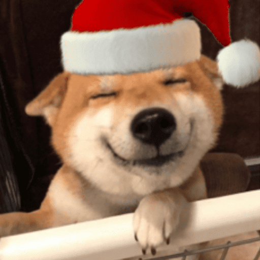 STICKERS PERRITOS NAVIDEÑOS🐶🎄 8