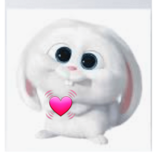 Rabbit 10